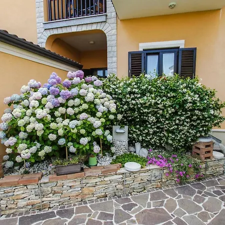 Cvitan 1. Floor Апартаменти *