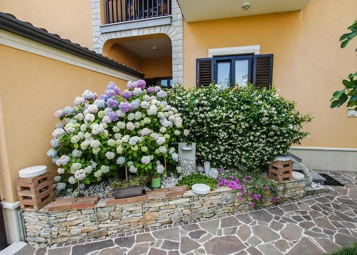 Cvitan 1. Floor Apartmán *