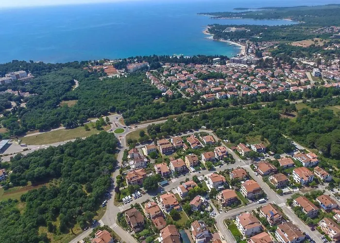 Apartman Cvitan 1. Floor